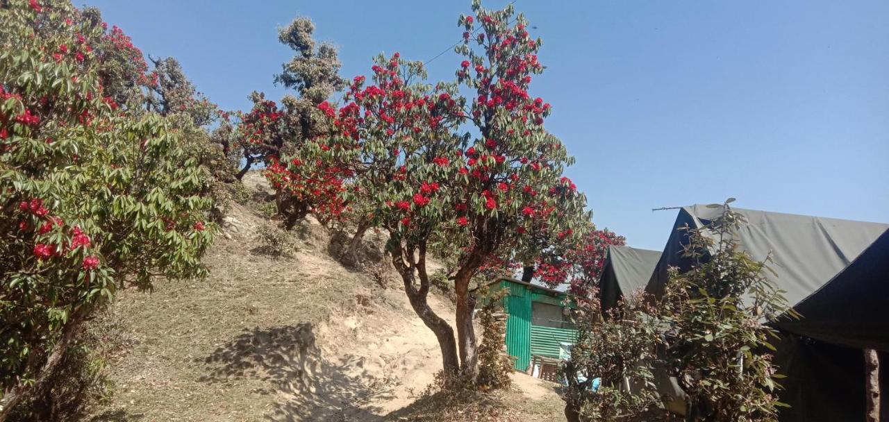 Chandarshila Hike Homestay Ukhimath Eksteriør billede